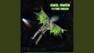 Flying Dream