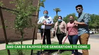 Arbor Day 2021