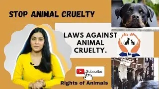 Animal Cruelty Laws In INDIA ! Laws Against Animal Cruelty in Hindi| EXPLAINED by #ArushiKulshrestha
