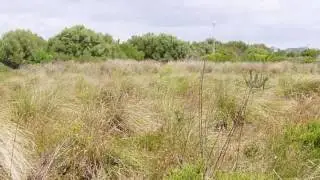Vacant Land For Sale in Fountains, Jeffreys Bay, South Africa for ZAR R 250 000