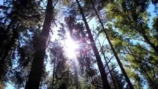 Nature & Running: Varberga Edition