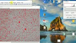 IMAGE J- Calculo da fração Volumetrica
