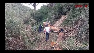 &ldquo;Pulizia mulattiere e sentieri&rdquo;: l&rsquo;iniziativa degli enduristi messinesi parte dal &ldquo;Sanatorio