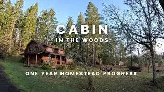 One year homestead progress - Log cabin living on 60 acres of forest land