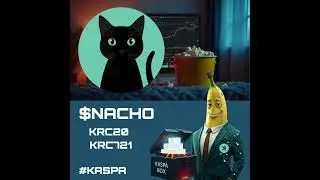 Nacho the Kat: A Community-Driven KRC20 Token on Kaspa #kaspa #krc20 #krc721 #nacho #nachothekat