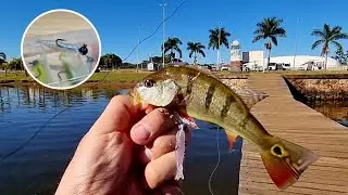 #09 Testando Isca Artificial Ultra Light - Micro Camar&atilde;o Snook - Lago Parano&aacute; / Bras&iacute;lia (Pescaria)