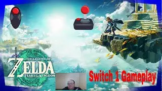 I'm playing The Legend of Zelda: Tears of the Kingdom for the Nintendo Switch (Switch 1)