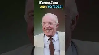 The God Father (1972) Movie Cast Then vs Now (2024) #shorts #godfather