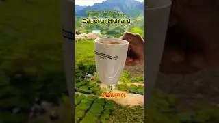 Bharat Tea Plantation| Cameron Valley Tea ☕️#cameron @SagalsVlog Since 1933