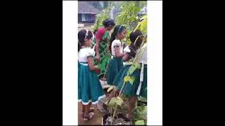 Water bell for vegetable garden