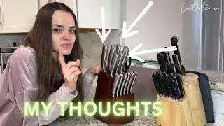 Astercook Knife Set Unboxing & Honest Performance Test!