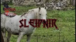 Sleipnir &ndash; The Eight-Legged Steed of Odin | Nordic Pagan Folk