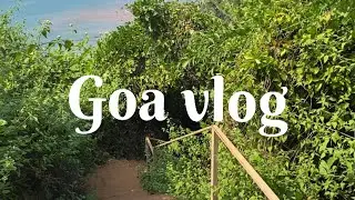 #travellingwithfriends￼#goavlog2023#explore￼#5daytour#nightlife#beach🏖️#goodfood