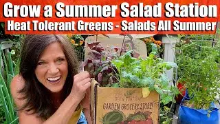 Grow a Summer Salad Station: Heat-Tolerant Greens for Fresh Salads All Season