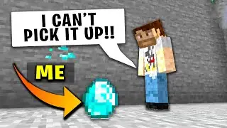 Disguise plugin trolling noob in minecraft..