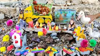 Rescue Lots of Cute Chicks And Find Real Turtles, Ornamental Fish, Ducks, Lobsters