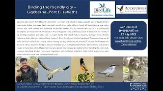 Conservation Conversations: Birding Gqeberha (Port Elizabeth) &ndash; Daniel Danckwerts (12 July 2022)