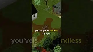 The best base location #projectzomboid