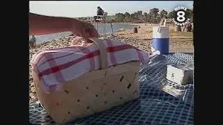 The Unknown Eater's Summertime Favorites - Part 2 - Saffron Picnic Baskets 1993