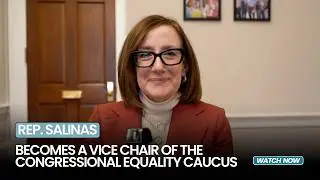 I am proud to announce that I am the new vice chair of the Congressional Equality Caucus!