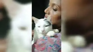 കിങ്ങിണി കുട്ടിയുടെ day in my life#shortvideo #petshub #minivlog #funny #pathanamyhitta#catpaw 