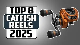 Best Baitcasting Reels for Catfish in 2025 / What&rsquo;s Worth Your Money?
