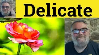 😎Delicate Meaning - Delicately Defined - Delicate Examples - Delicate Definition Delicate Delicately