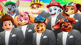 PAW PATROL MEGAMIX COFFIN DANCE ASTRONOMIA