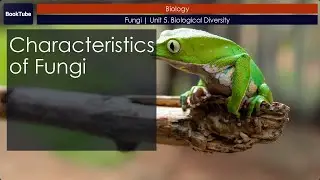 Characteristics of Fungi | Fungi | Unit 5. Biological Diversity