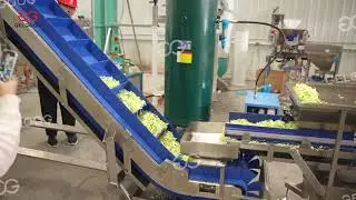 Baby spinach #lettuce cabbage fruit and #salad leafy #vegetables processing packing production line