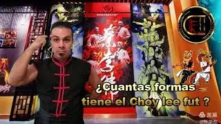 ¿Cuantas formas tiene el Choy lee fut? (Sifu Facundo Colman)