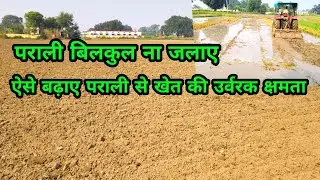 पराली बिलकुल ना जलाए ऐसे बढ़ाए पराली से खेत की उर्वरक क्षमता #farming #facts #parali #experiment 
