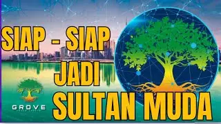 PREPARE TO BE THE YOUNG SULTAN OF GROVE TOKEN