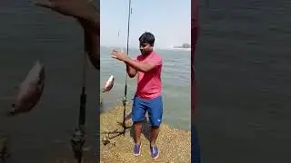 red snapper in betul goa #fishinglife #fish #fishingtips #goa#fishingvideo #fishinglife