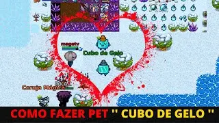 MISSÃO : O RESGATE DE UMA AMIZADE DURADOURA ( PET CUBO DE GELO )