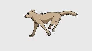 Dog Run Cycle