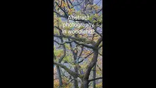How to do abstract photography: tips and inspiration #shorts