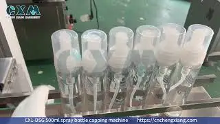 CX1-DSG 500ml spray bottle capping machine