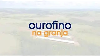 Salmonella, os riscos que ela pode trazer na saúde das aves