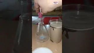 Activity 2.3 Class 10 Science || Activity 1.3 Class 10 Science || Pop sound hydrogen gas #shorts