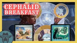 Pondering My EW Legacy Strategy with Cephalid Breakfast