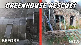 Rescuing and restoring a 150 year old greenhouse