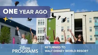One Year Anniversary: Disney Programs Returns!