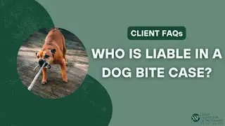 Who is Liable in a Dog Bite Case? - Salvi, Schostok & Pritchard P.C.