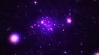 s.o.s (prod.thasus)