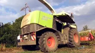 Wspomnienia z Wakacji czyli Kiszonka 2016 z Kukurydzy !