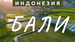 ЮВЕЛИРКА СВОИМИ РУКАМИ В УБУДЕ.ЗООПАРК.АРТ МУЗЕЙ. ФИНАЛЬНЫЙ ВЫПУСК БАЛИ.