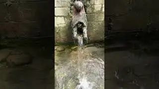 लु हिति #tap #heritage #nepal #kathmandunepal #nature #water #savethewater#shorts #trending #viral