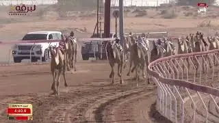 ش2 موفق لـ محمد سلطان مطر مرخان (مهرجان الشيخ محمد بن زايد 27-12-2025م) بندقية اللقايا قعدان 7:33:78