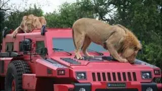 Marauder World's Toughest Vehicle